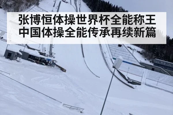 张博恒体操世界杯全能称王 中国体操全能传承再续新篇