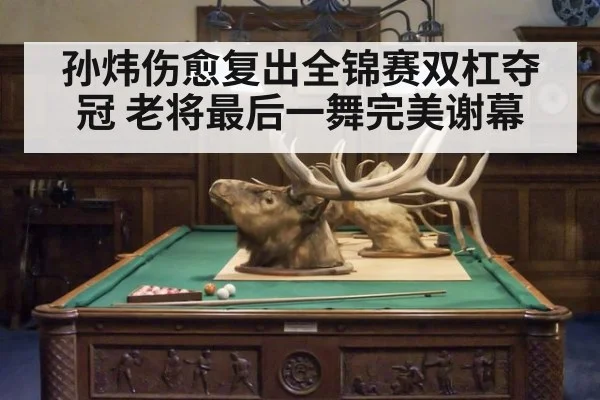 孙炜伤愈复出全锦赛双杠夺冠 老将最后一舞完美谢幕